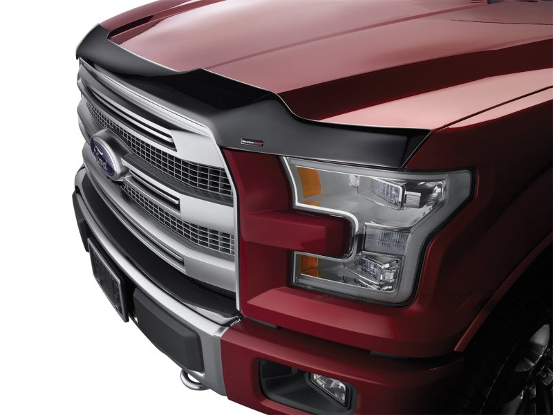 WeatherTech Ford Expedition Hood Protector - Black